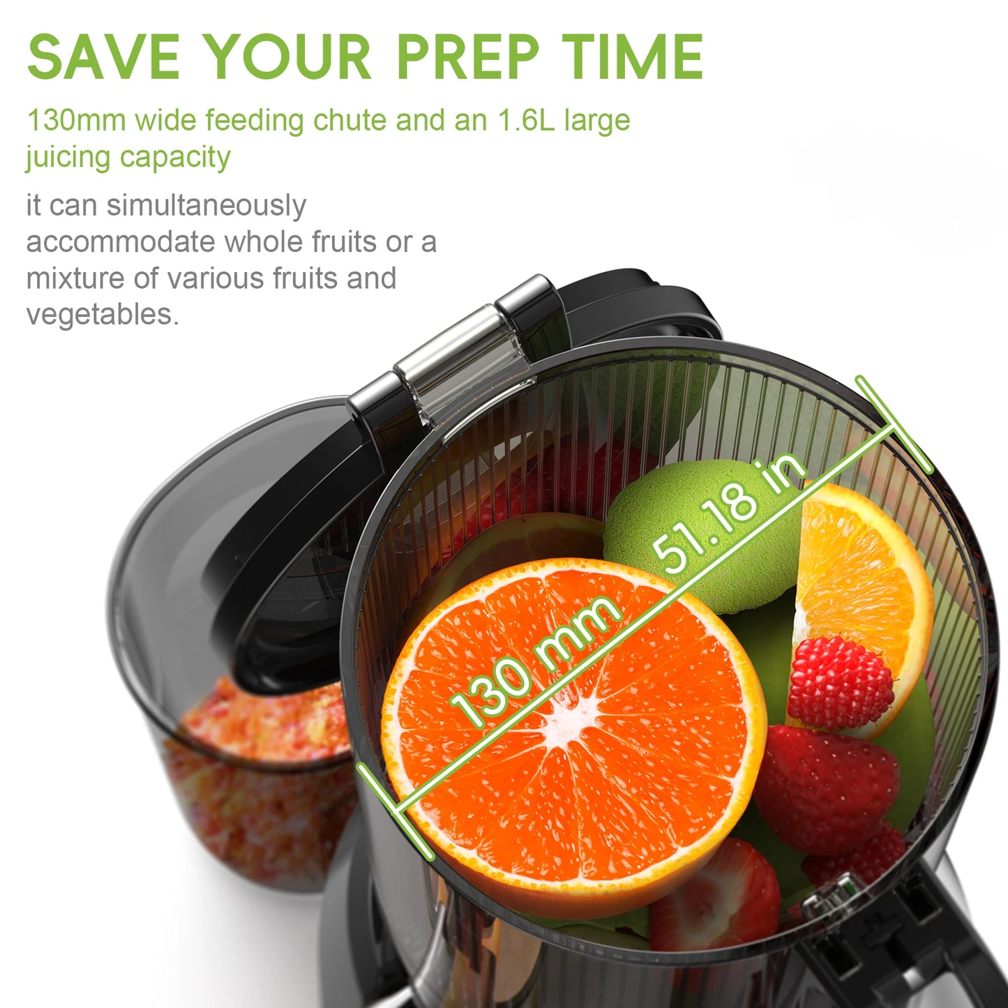 The Ultimate Nutrient Extractor: BioloMix Slow Masticating Juicer