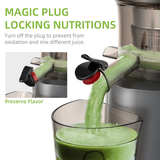 BioloMix Slow Masticating Juicer – Powerful 200W, 75mm Wide Feed Chute, Easy Clean, Ice Cream Maker